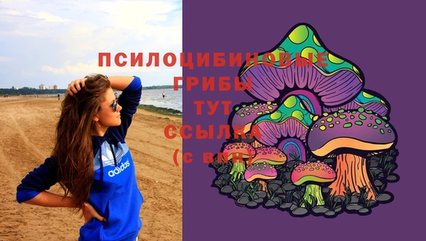 каннабис Вяземский