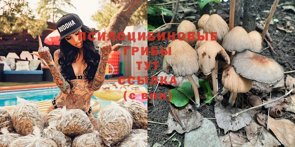ГАЛЛЮЦИНОГЕННЫЕ ГРИБЫ Вязьма
