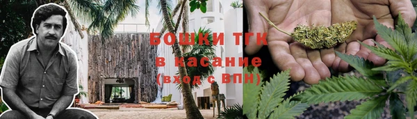 метадон Горняк